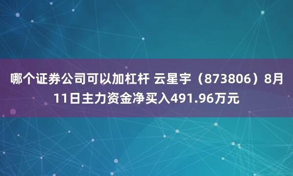 哪个证券公司可以加杠杆 云星宇（873806）8月11日主力资金净买入491.96万元