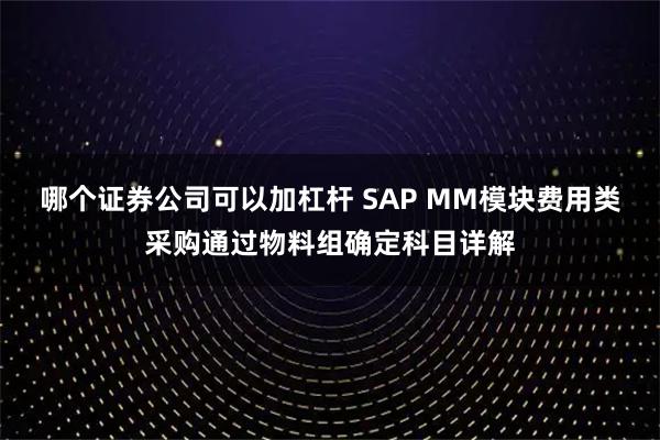 哪个证券公司可以加杠杆 SAP MM模块费用类采购通过物料组确定科目详解