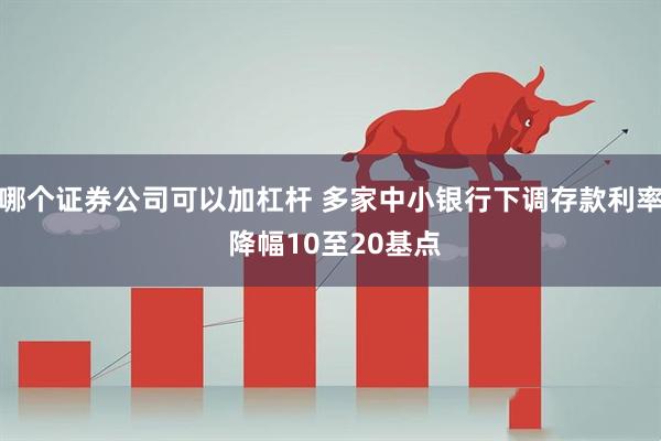 哪个证券公司可以加杠杆 多家中小银行下调存款利率 降幅10至20基点