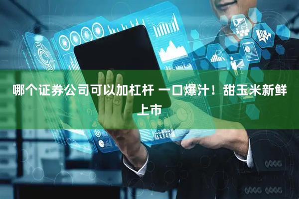 哪个证券公司可以加杠杆 一口爆汁！甜玉米新鲜上市