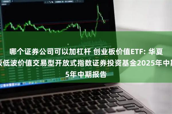 哪个证券公司可以加杠杆 创业板价值ETF: 华夏创业板低波价值交易型开放式指数证券投资基金2025年中期报告