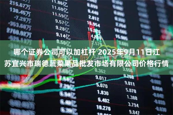 哪个证券公司可以加杠杆 2025年9月11日江苏宜兴市瑞德蔬菜果品批发市场有限公司价格行情