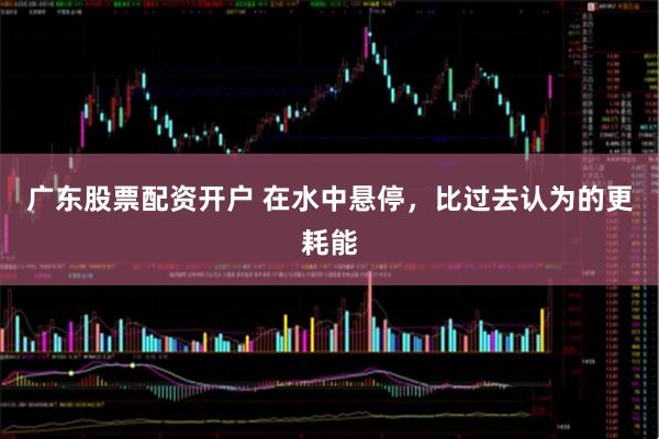 广东股票配资开户 在水中悬停，比过去认为的更耗能